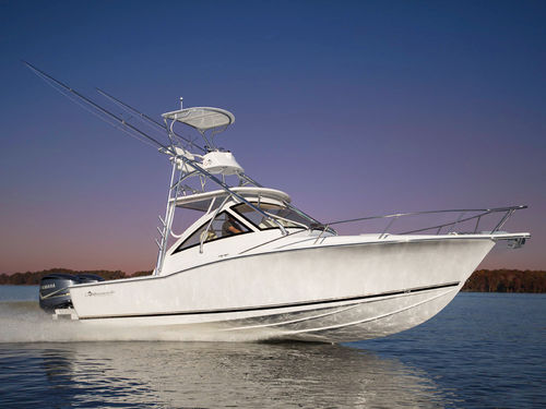 Passeio de Barco no Lobito - Restinga Albarmarle