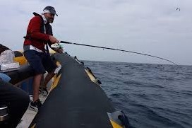 Pesca Desportiva em Alto-Mar